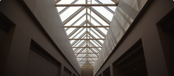 Specialty Skylights